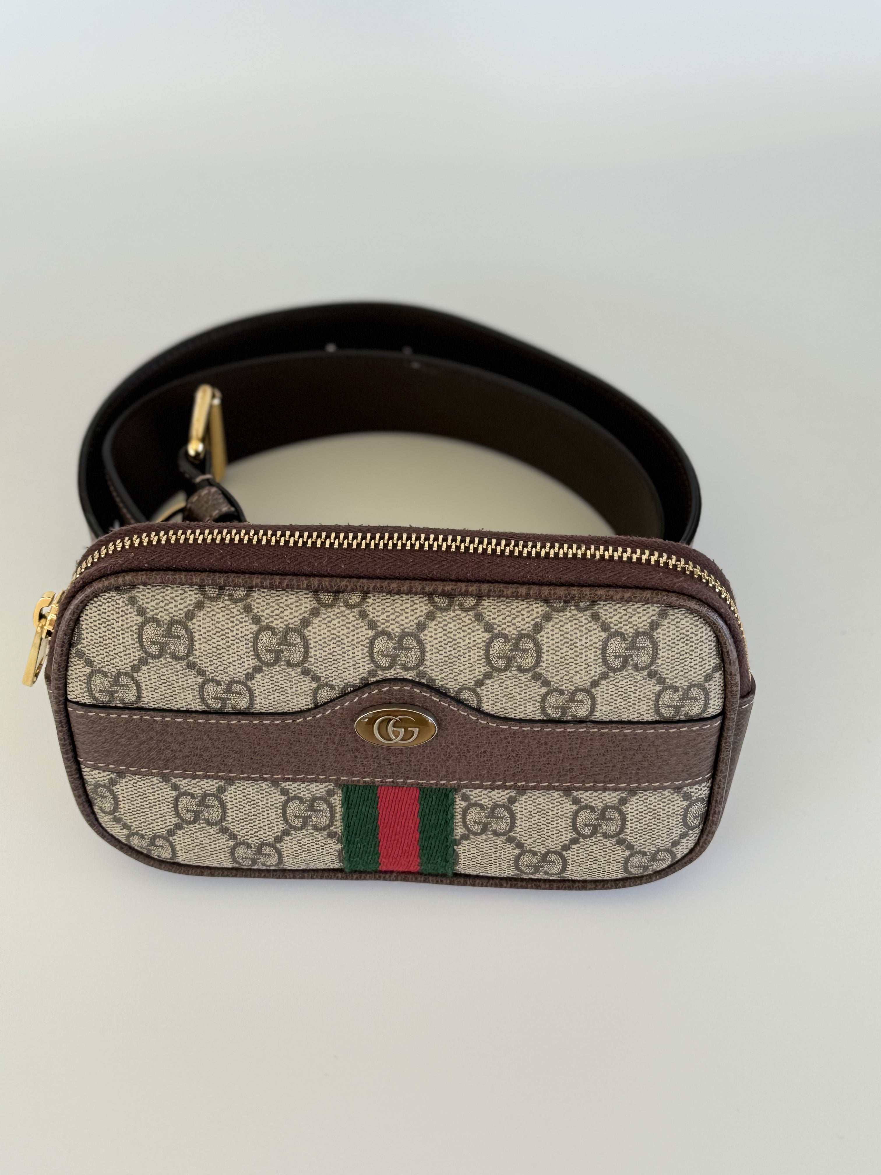 GG Small Ophidia Waist Belt